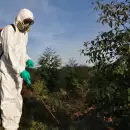 Buenas Prácticas Agrícolas: Acciones para asegurar la inocuidad de los alimentos