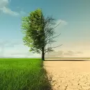 ¿Por qué se conmemora hoy el Día Mundial de la Acción frente al Calentamiento Global?