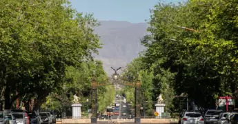 milei