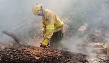 incendios