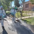 Salud reforzará las medidas y los operativos en la lucha contra el dengue