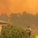 Incendios devastadores en la Patagonia: situaci�n actual, factores y medidas ante la emergencia
