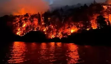 incendios patagonia