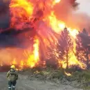 Incendios en la Patagonia: m�s de 48.000 hect�reas arrasadas y una estrategia oficial en la mira