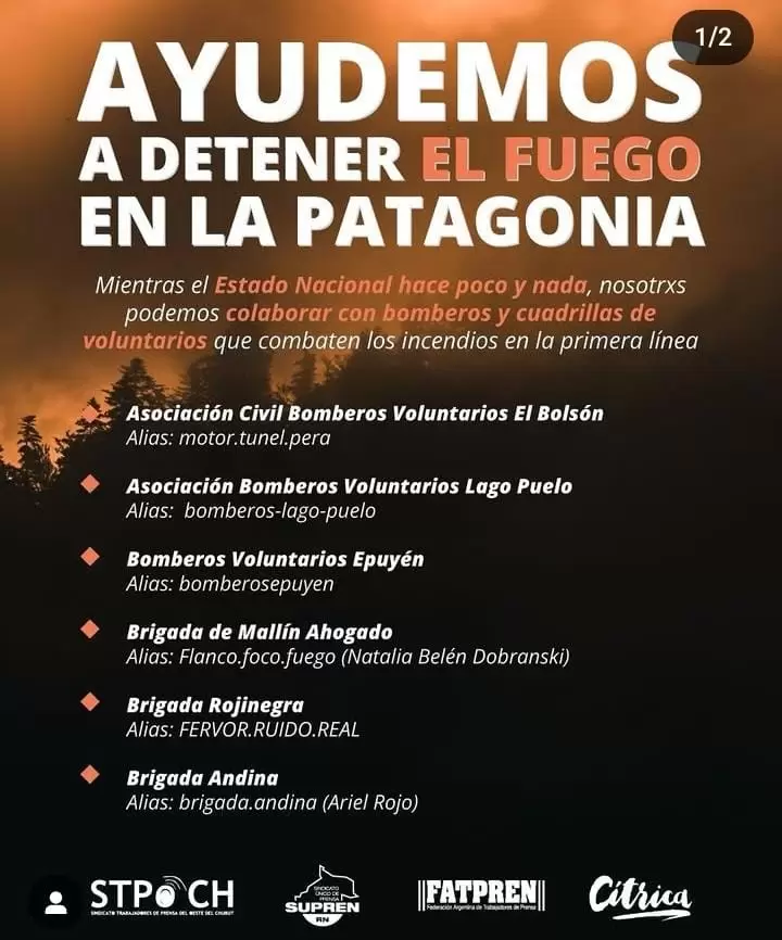 colaboraciones patagonia