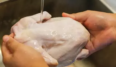 POLLO