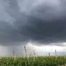 Naci�n ratific� la emergencia agropecuaria para las zonas de Mendoza afectadas por contingencias clim�ticas