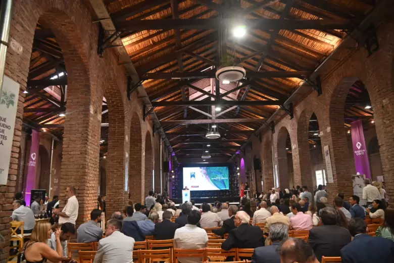 bodegas argentina espacio arizu