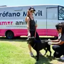 Godoy Cruz puso en marcha un novedoso quirófano móvil autosustentable para mascotas