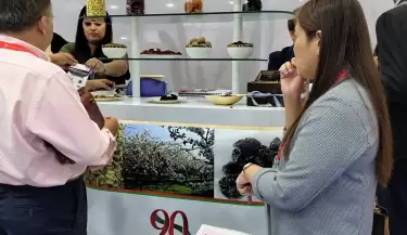 empresa san rafael