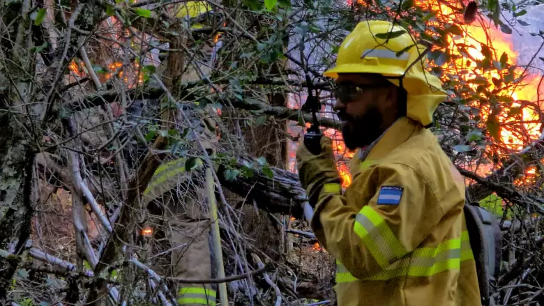incendios patagonia
