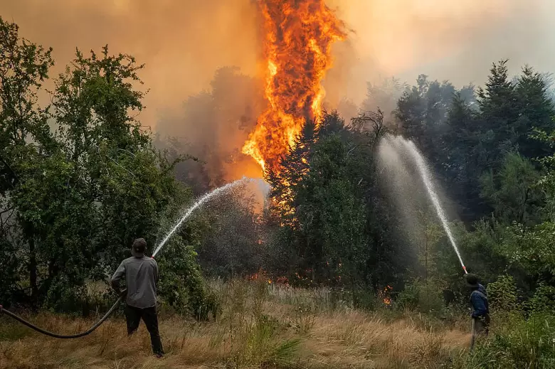 incendios patagonia