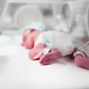 Charlas, controles y celebraciones: así se vivirá la Semana del Prematuro en los hospitales públicos