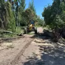 Vialidad Mendoza despejó siete calles que habían quedado bloqueadas por la tormenta