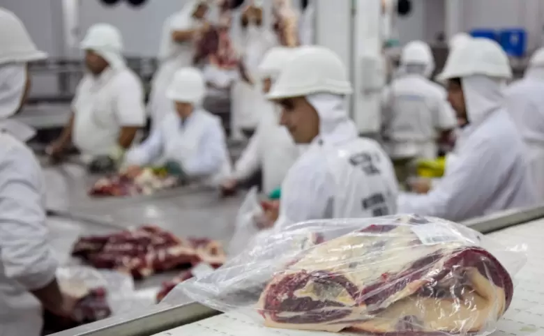 Carne