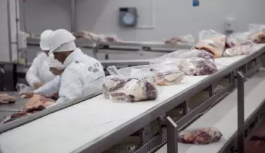 Carne
