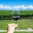 La ruta del vino mendocino ofrece una experiencia �nica en este feriado XXL
