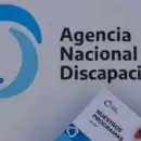 Anunciaron la eliminación de la ANDIS y el traspaso de funciones al Ministerio de Salud