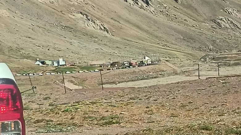 Largas filas y demoras importantes en el cruce a Chile