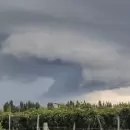 (Videos) El granizo no tuvo piedad con Luj�n de Cuyo y Jun�n y provoc� da�os en zonas cultivadas