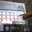 C�mo fue la elecci�n de Alejandrina Funes, la nueva Reina Nacional de la Vendimia