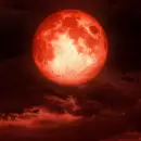 Eclipse total de Luna roja: cu�ndo y a qu� hora podr� verse en Argentina