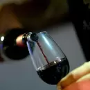 La Ciudad de Mendoza celebra la Noche de las Vinerías: degustaciones y un show imperdible