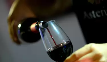 Noche de las Viner�as