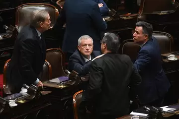 diputados