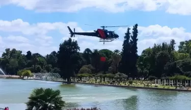 regatas vuela