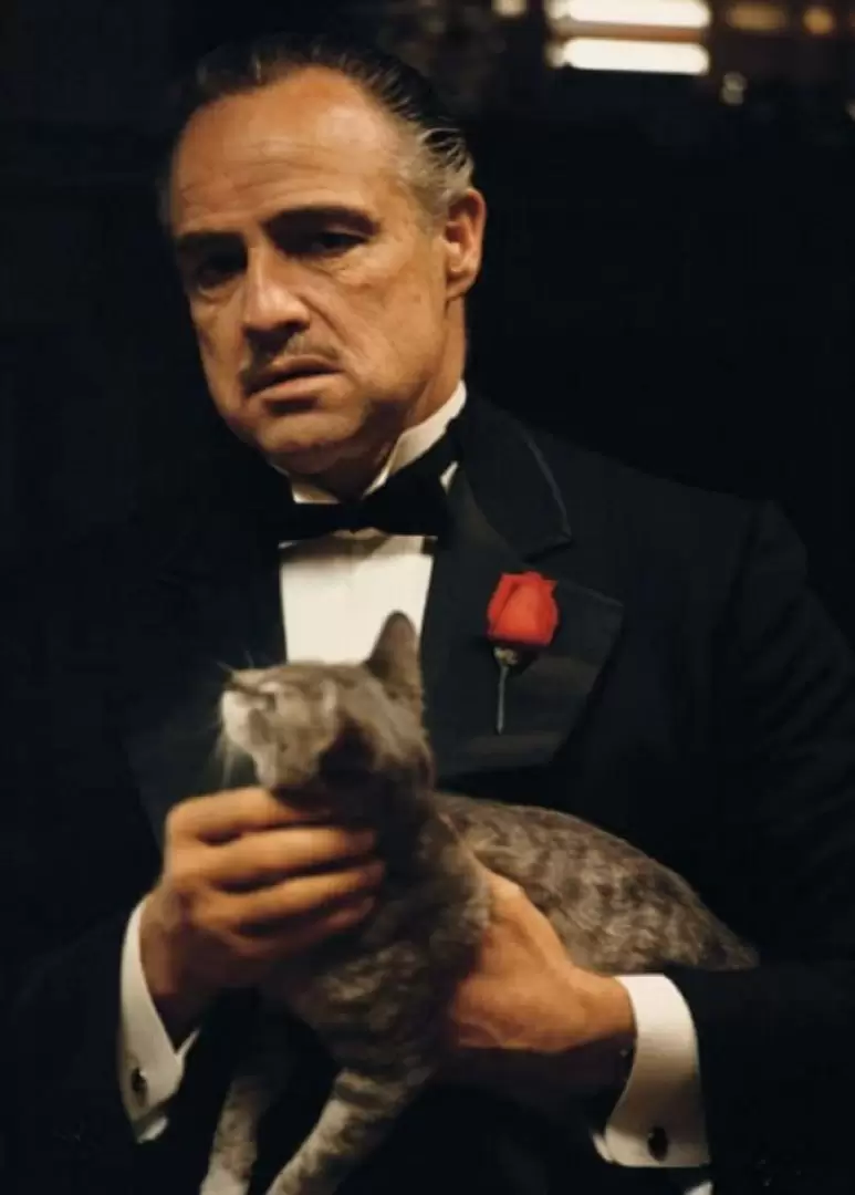 el padrino