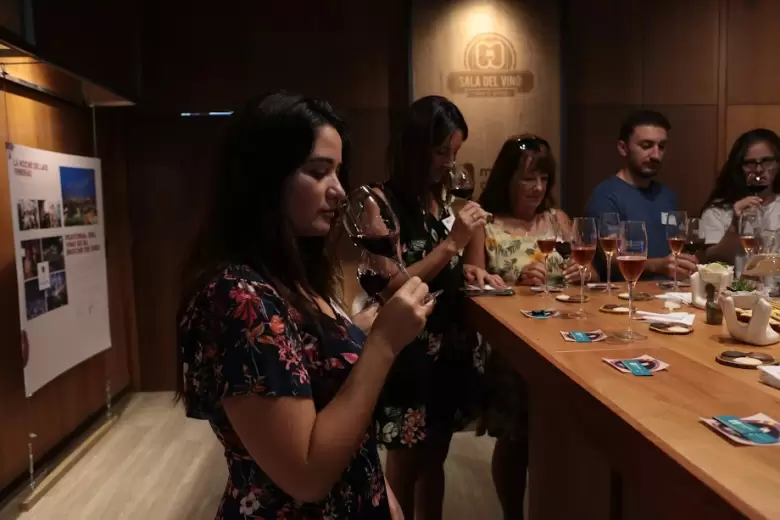 vinos bodega