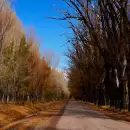 �ltimos d�as de calor en Mendoza: luego de los 35�C, llegan tormentas y un brusco descenso de la temperatura