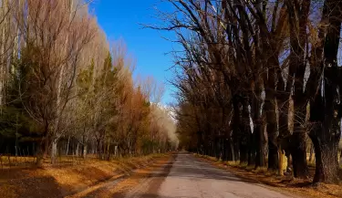 otono mendoza