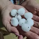 (Video) Comenzó el temporal en Mendoza: reportan caída de granizo en el Valle de Uco y otras zonas de la provincia