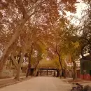 Abrigo el viernes, remera el domingo: as� estar� el tiempo este fin de semana en Mendoza