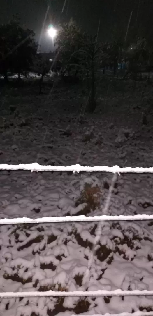 La primera nevada del a�o en Malarg�e
