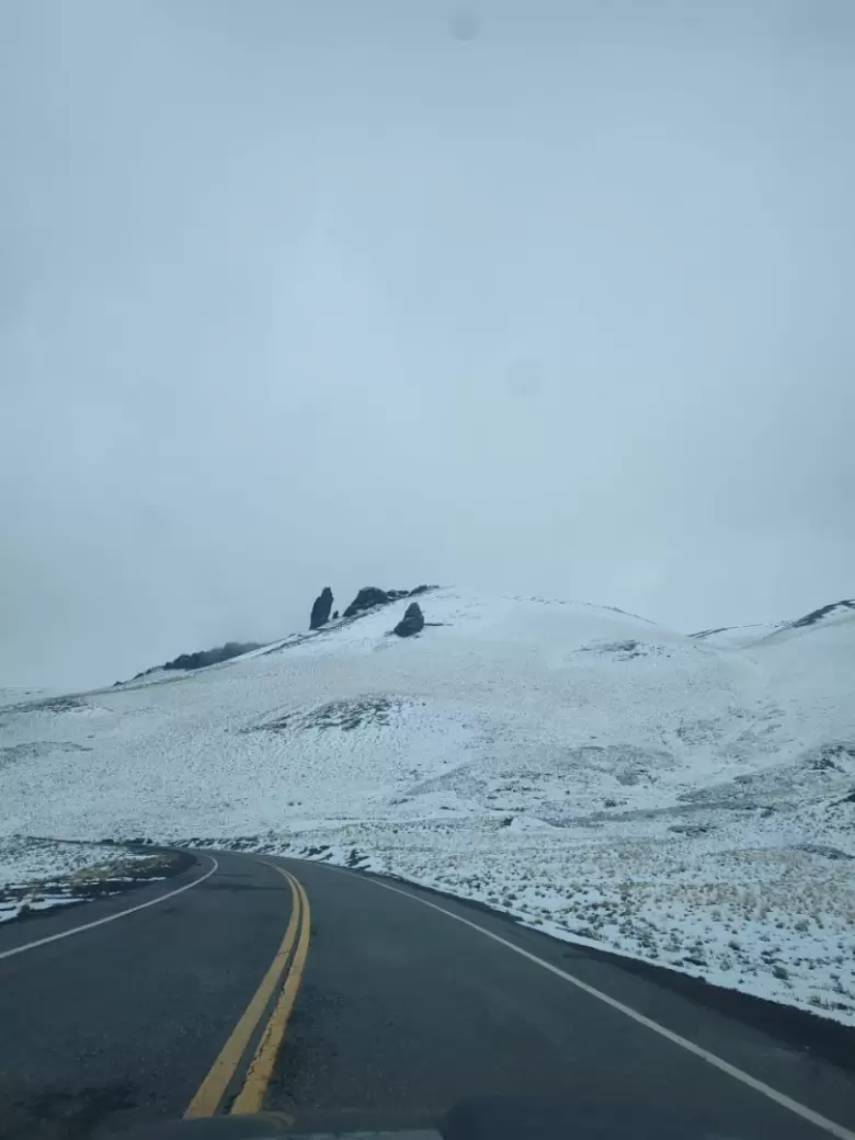Paso Pehuenche