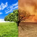 Cambio clim�tico en Argentina: impacto y consecuencias en nuestra regi�n
