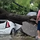 Un violento temporal de lluvia y viento afectó a Córdoba y Santa Fe