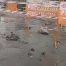 Irrigación multó a Aysam con $120 millones por contaminar un canal de riego en Los Corralitos