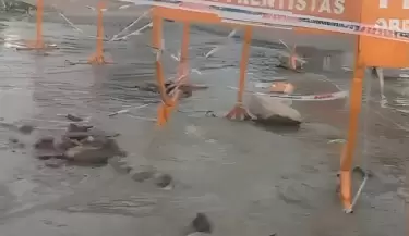 Desborde de cloacas en Corralitos