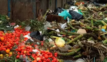 uso_comida_basura