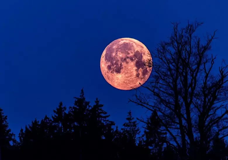 luna rosa