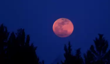 luna rosa