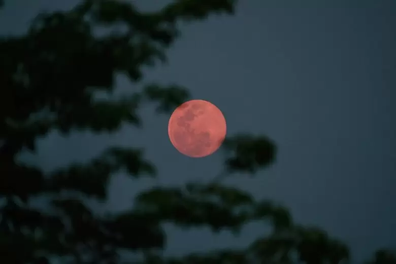 luna rosa