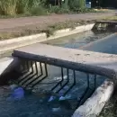 Aguas Mendocinas volcará efluentes al Canal Pescara para arreglar una cloaca colapsada