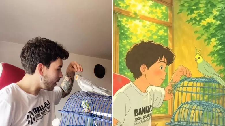 estudio ghibli