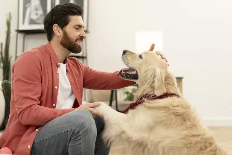 perros due�os