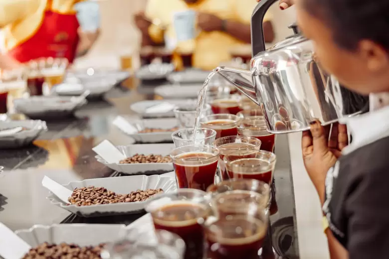cafe colombia